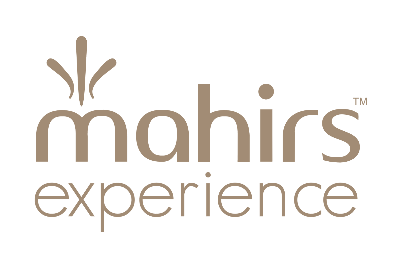 Mahirs Experience